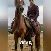 Постер книги Игид