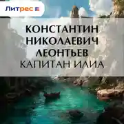Постер книги Капитан Илиа
