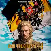 Постер книги Сын Тишайшего 4