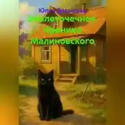 Постер книги Землеточечное. Хроники Малиновского