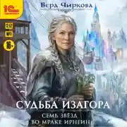 Постер книги Семь звёзд во мраке Ирнеин