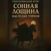 Постер книги Всадник без головы