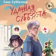 Постер книги Удачная суббота
