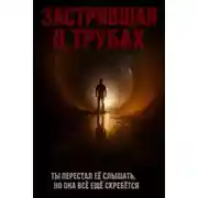 Постер книги Застрявшая в трубах, моя любовь