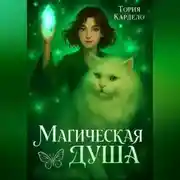 Постер книги Магическая душа