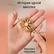 Постер книги История одной заколки