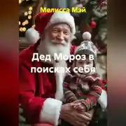 Постер книги «Дед Мороз в поисках себя»