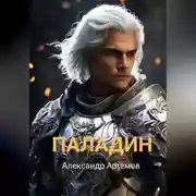 Постер книги Паладин