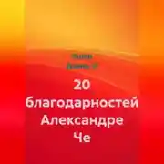 Постер книги 20 благодарностей Александре Че