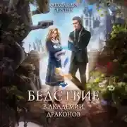 Постер книги Бедствие в академии драконов
