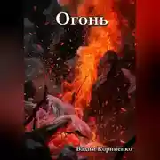 Постер книги Огонь