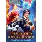 Постер книги Переполох в Академии Граней. Это кто еще попал!