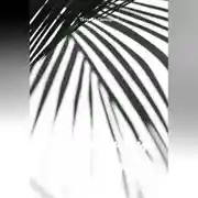 Постер книги Идеальный контракт