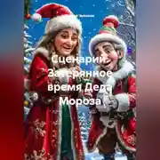 Постер книги Сценарий. Затерянное время Деда Мороза.