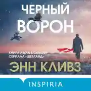 Постер книги Черный ворон