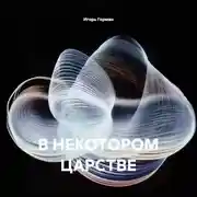 Постер книги В НЕКОТОРОМ ЦАРСТВЕ