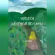 Постер книги Зеленая поляна