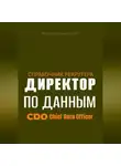 И. Каравашкин - Справочник рекрутера: CDO Директор по данным
