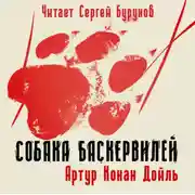 Постер книги Собака Баскервилей