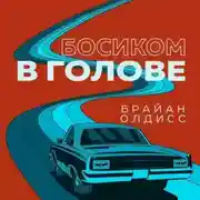 Постер книги Босиком в голове