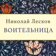 Постер книги Воительница