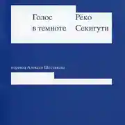 Постер книги Голос в темноте