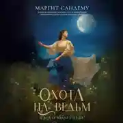 Постер книги Охота на ведьм