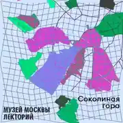 Постер книги Район Соколиная гора