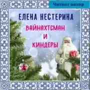 Постер книги Вайнахтсман и киндеры