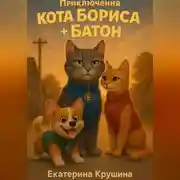 Постер книги Приключения кота Бориса + Батон