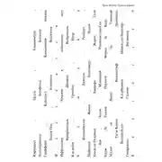 Постер книги Сады и дороги