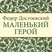 Постер книги Маленький герой