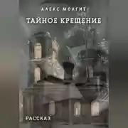 Постер книги Тайное крещение