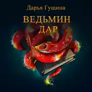 Постер книги Ведьмин дар