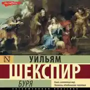 Постер книги Буря