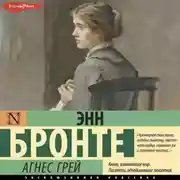 Постер книги Агнес Грей