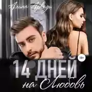 Постер книги 14 дней на любовь