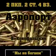 Постер книги Аэропорт