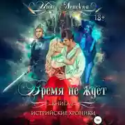 Постер книги Истрийские Хроники. Время не ждет