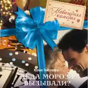 Постер книги Деда Мороза вызывали?