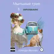 Постер книги Мыльный трип в прошлое