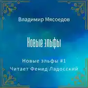 Постер книги Новые эльфы