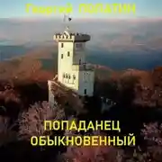 Постер книги Попаданец обыкновенный