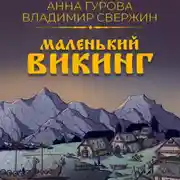 Постер книги Маленький викинг