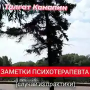 Постер книги Заметки психотерапевта