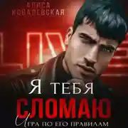 Постер книги Я тебя сломаю