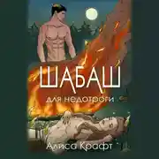 Постер книги Шабаш для недотроги