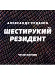Александр Рудазов - Шестирукий резидент