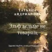 Постер книги Эльф ведьме не товарищ