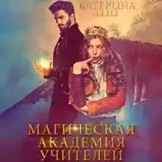 Постер книги Магическая академия учителей